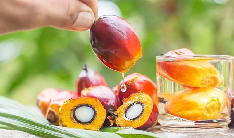 Palm Oil Image